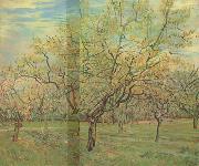 The White Orchard (nn04) Vincent Van Gogh